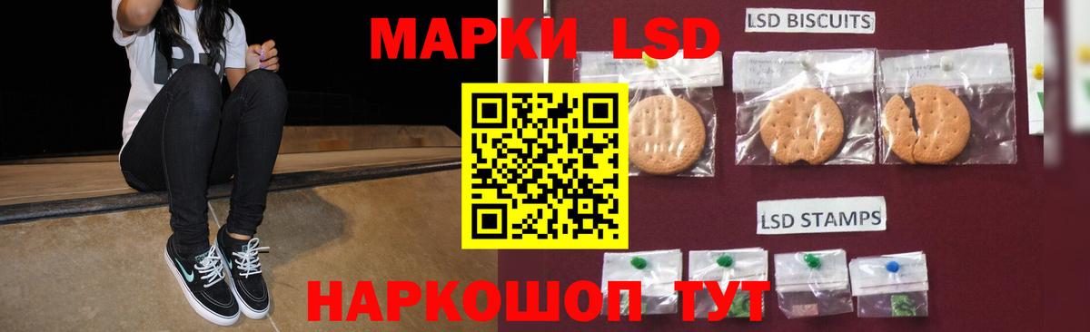 Электрогорск  ЛСД экстази ecstasy  ЛСД экстази кислота  ЛСД экстази  Вход с VPN 